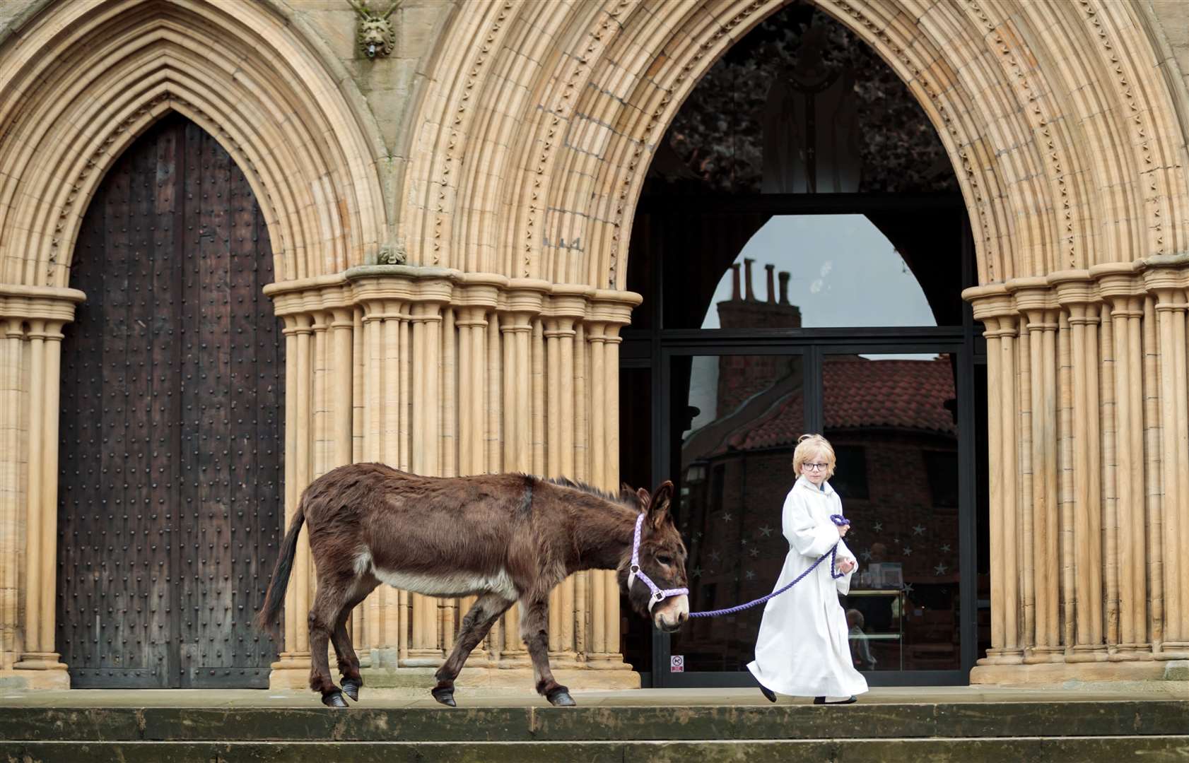 Palm Sunday procession through Ripon City with Lily the donkey